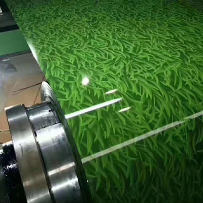 La couleur enduite d'une première couche de peinture par 0.15mm en acier en métal de bobine de Sgcc Ppgi a enduit